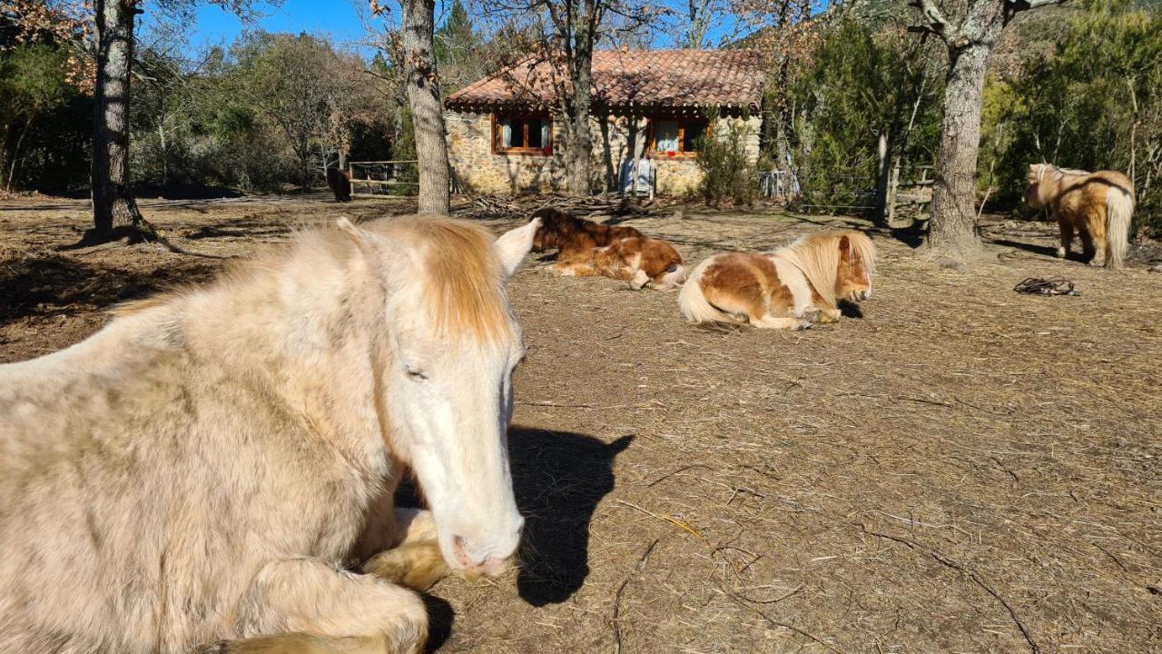 Gites A La Ferme - Hautes-Corbieres Termes Exterior photo