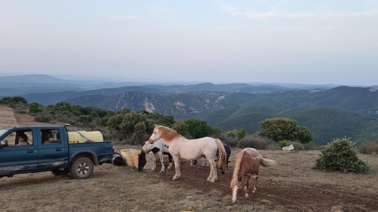 Gites A La Ferme - Hautes-Corbieres Termes Exterior photo