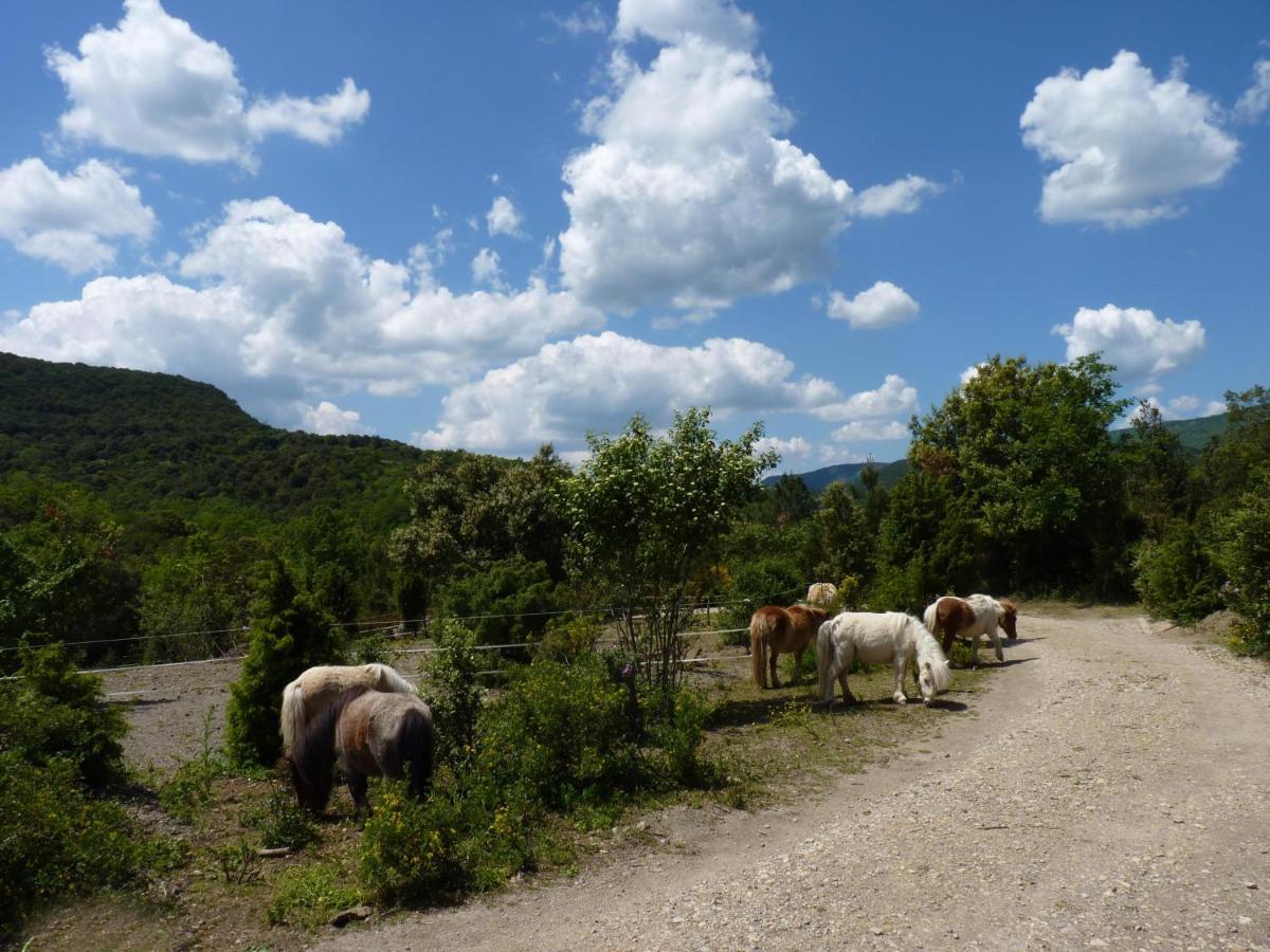 Gites A La Ferme - Hautes-Corbieres Termes Exterior photo