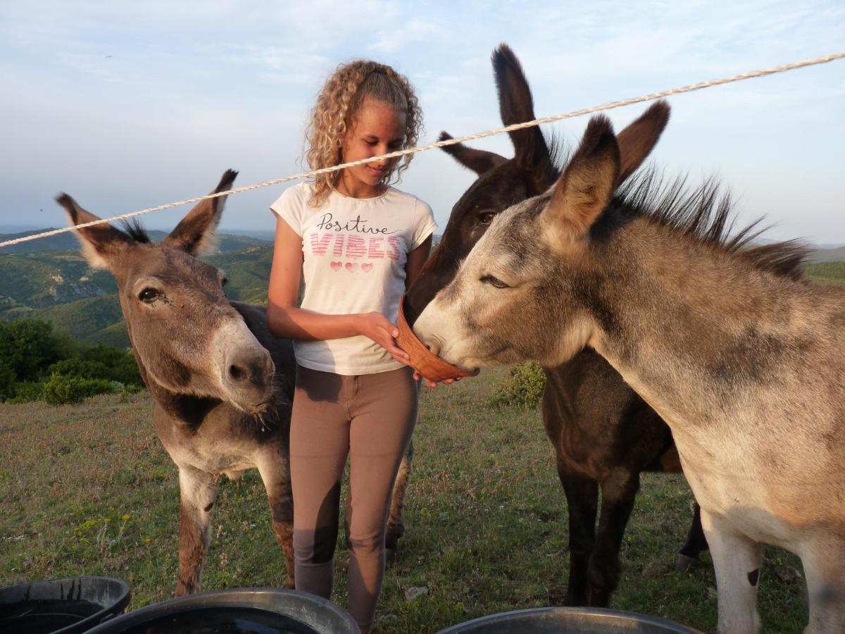 Gites A La Ferme - Hautes-Corbieres Termes Exterior photo